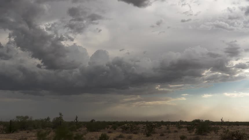 Desert field with vegetation on a cloudy day
