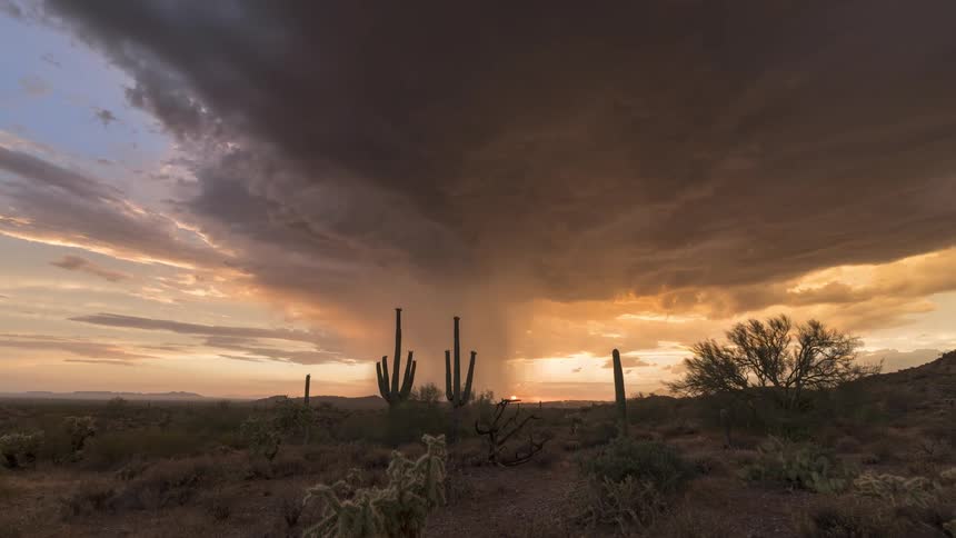 A stunning sunset over a desert landscape with saguaro cacti silhouetted against a dramatic sky