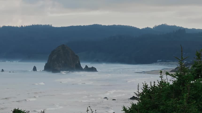 Mountains and beach are revealed behind the forest