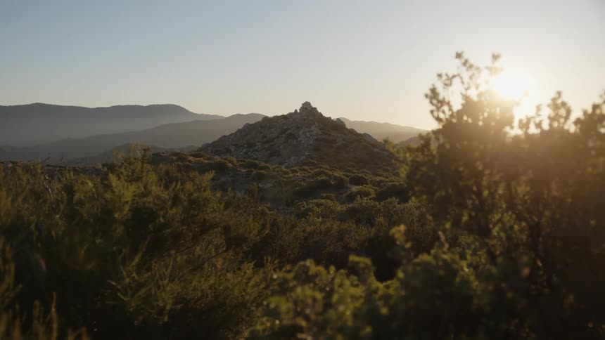 A region with a mountain and lots of vegetation around it that is moving with the wind