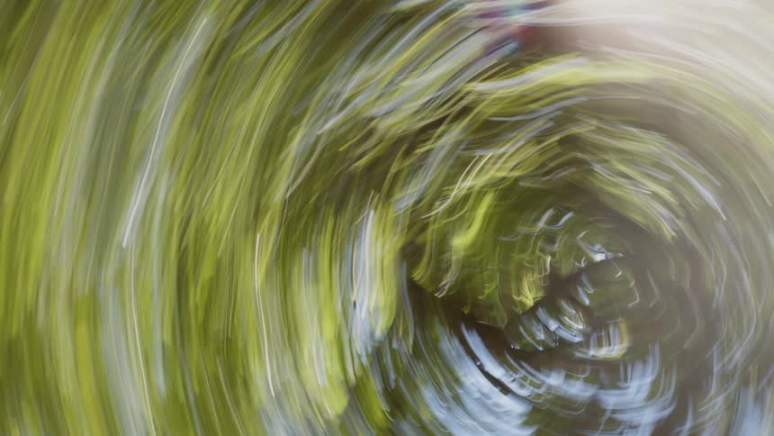 A quick and blurred movement where there is a tree with lush leaves