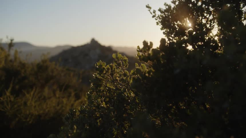 The sun is rising on a windy day