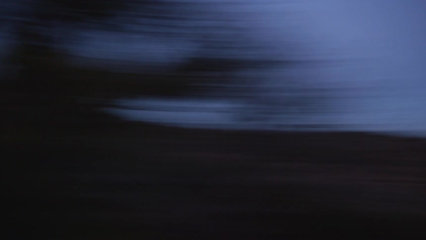 Brush grows on a flat area near mountains at dusk