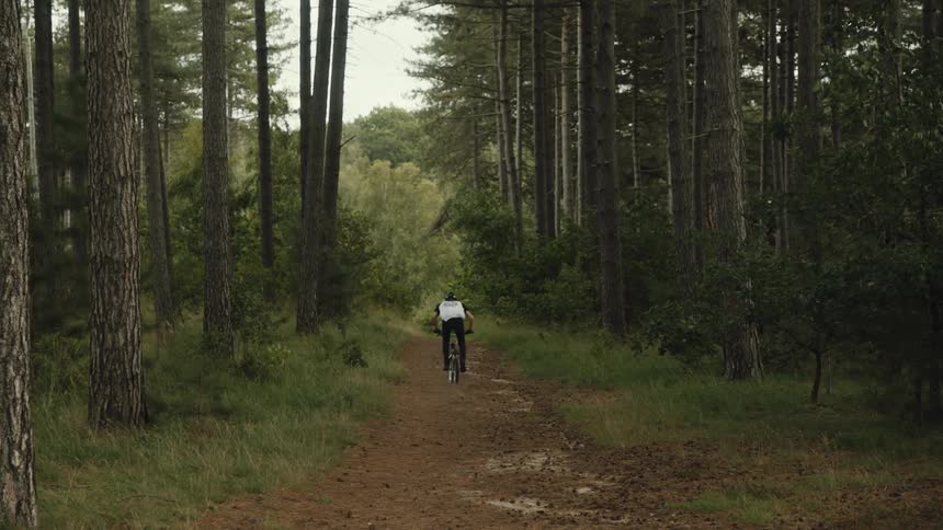 A cyclist rides through a serene forest path surrounded by tall trees