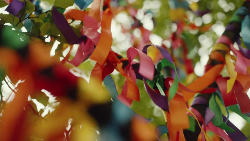 Multicolored ribbons are tied to branches on a tree