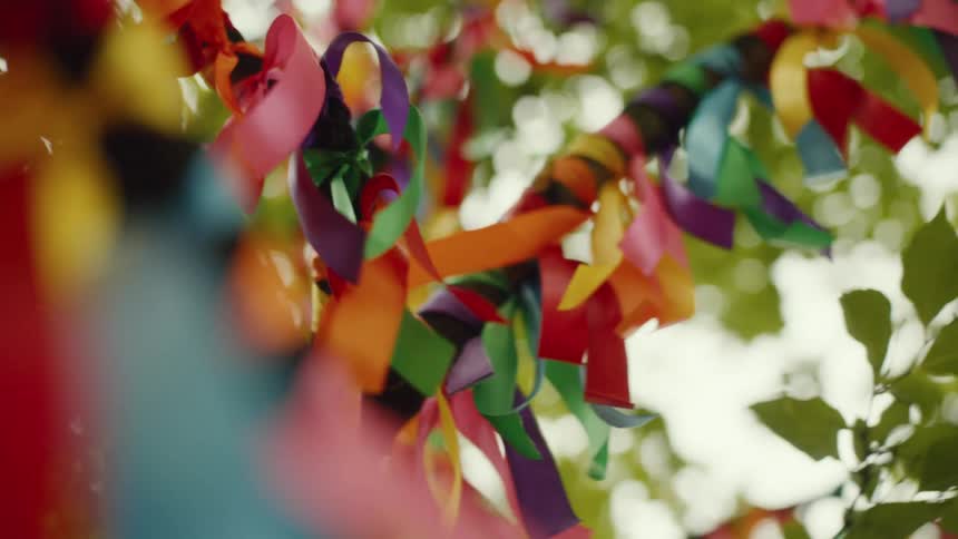 Several colorful ribbons tied to the trunk of a thin tree with green leaves