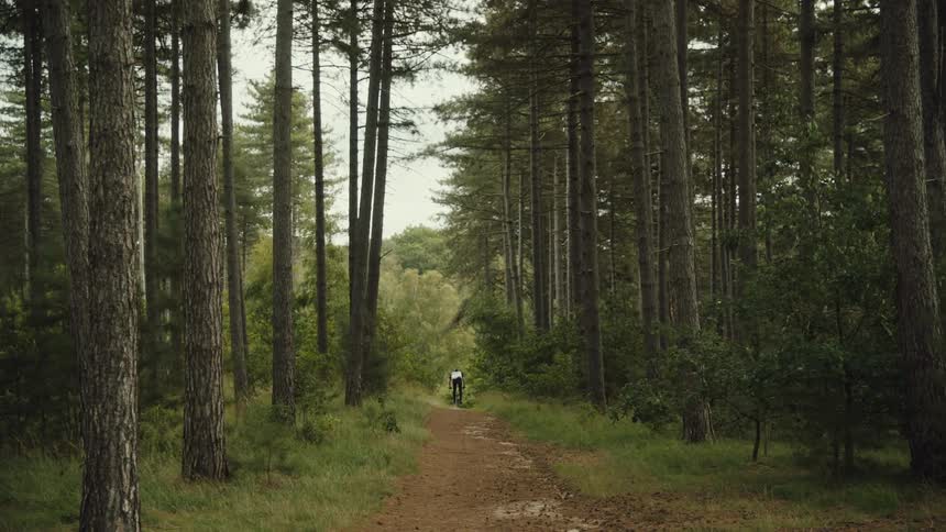 Person riding a mountain bike at high speed on a forest trail
