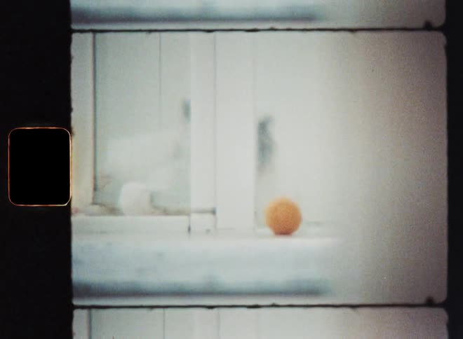 Cat with white fluffy and soft fur playing with an orange ball while sitting or laying on the bathroom floor behind a window or glass wall before she moves around it to get or attack her toy on Vintage Super 8 mm film footage