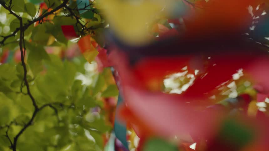 Several colored paper ribbons stuck to the branch and trunk of a tree
