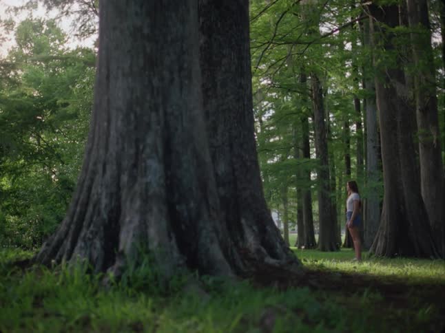 A young woman stands still in a tall forest on a summer day