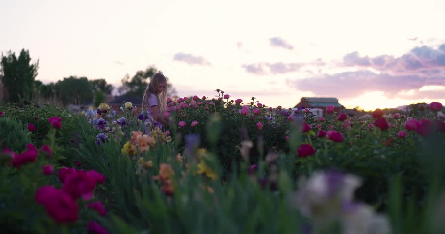 A young white girl picks flowers in a field