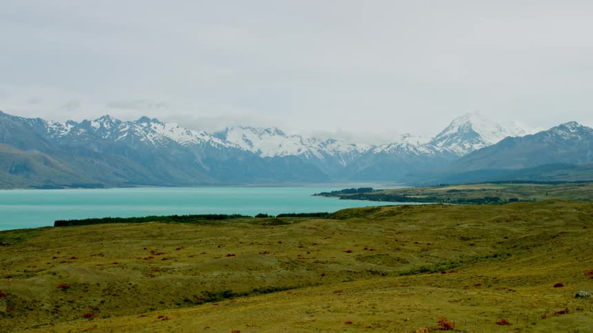 Landscape of native grassland on the shore of a lake surrounded by mountains with snowcapped peaks
