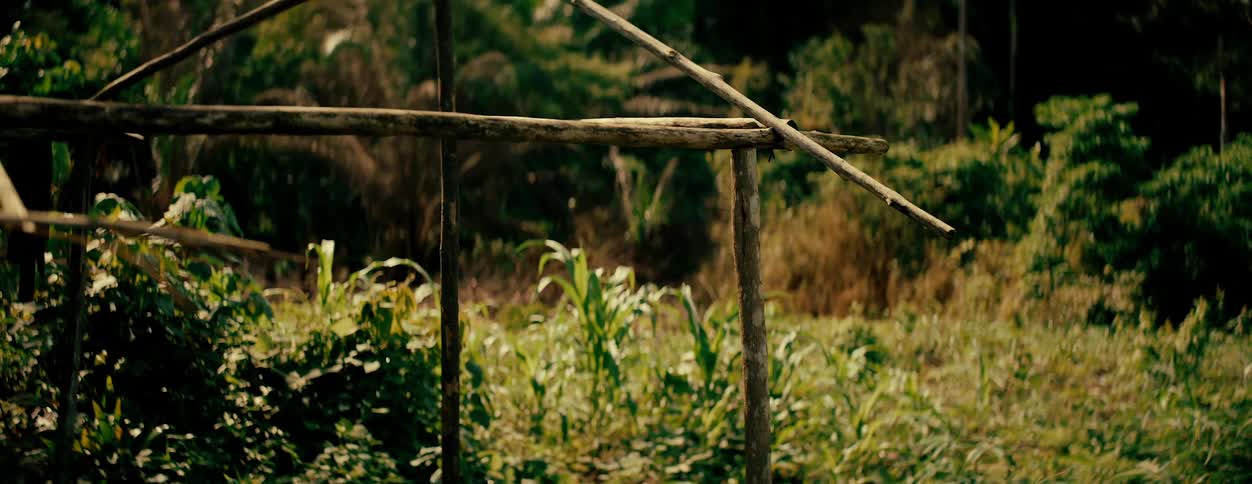 A crude wooden structure sits in a grassy field near a forest