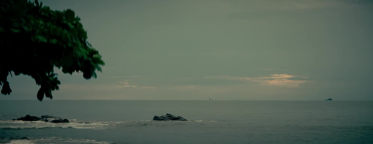 Ocean with calm waves a tree in the foreground and a dawn sky