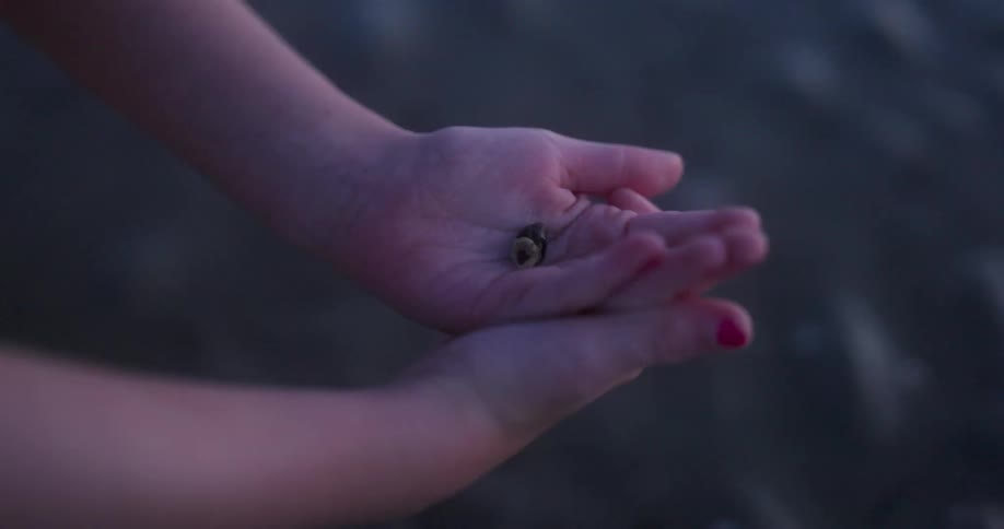 Close up of a pair of childs hands with a hermit crab moving while standing on the sand at the beach