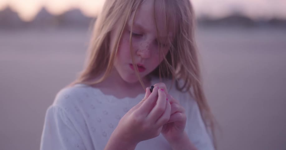 A girl is examining a small hermit crab at the beach