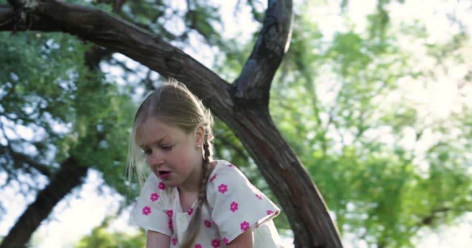 Blonde girl climbing a tree slips and falls