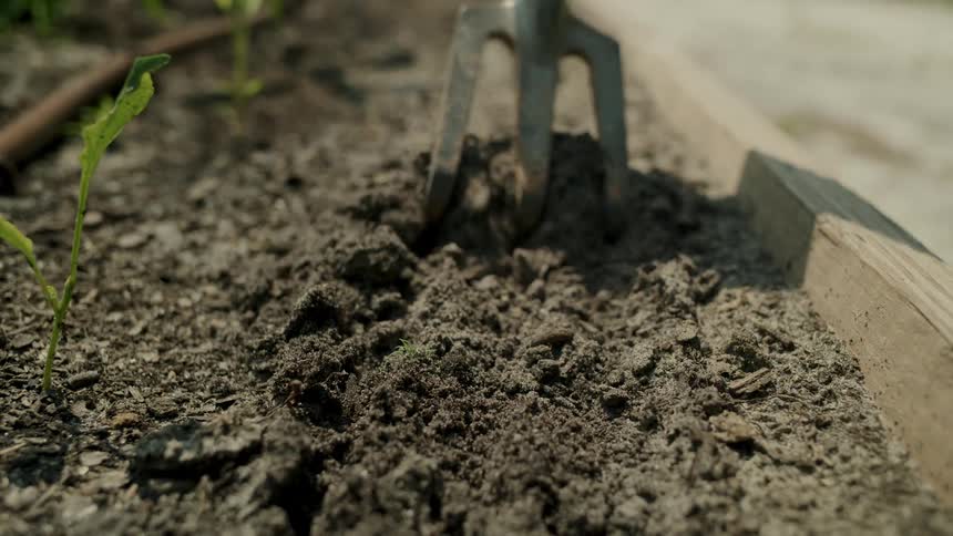 A small pitch fork rakes the dirt