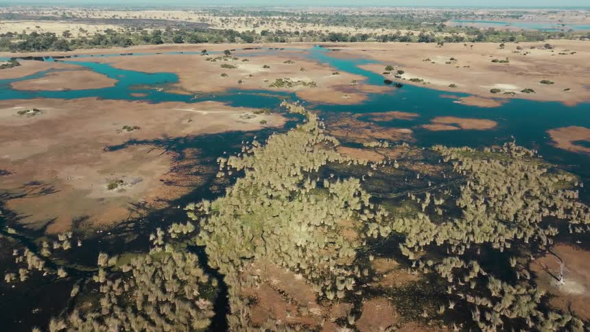 Aerial view of a land with lakes and rivers in a jungle