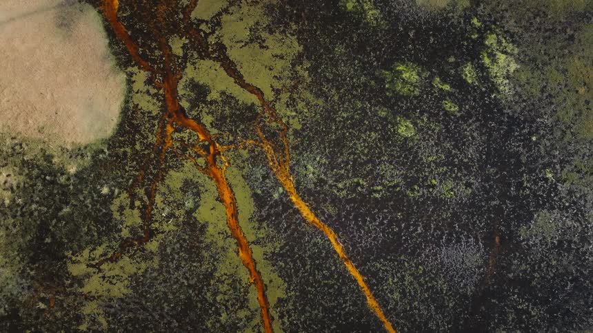 The ground is covered with black fluid