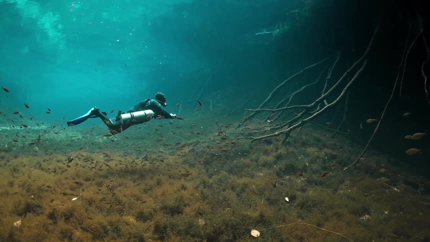 Scuba diver swimming among fish over the seabed as air bubbles rise and light shines from above