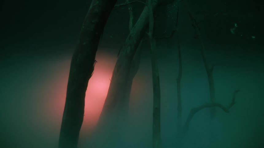 Bubbles rise from a murky layer of water near diffused red light and a drowned tree
