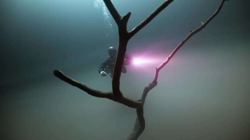 Diver venturing with a red flashlight into the water next to a log
