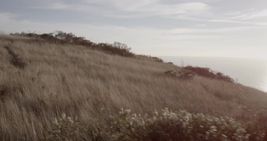 A field with tall grass is being filmed