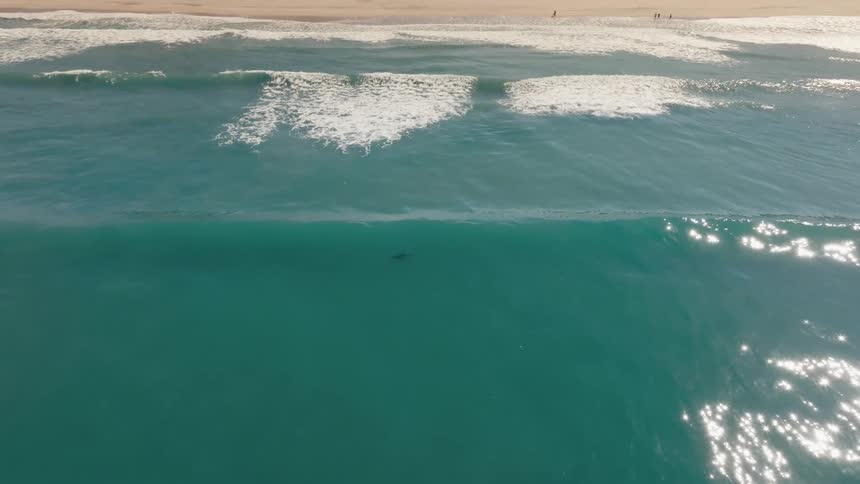 Aerial of four people standing on a beach while ocean waves roll into the shore