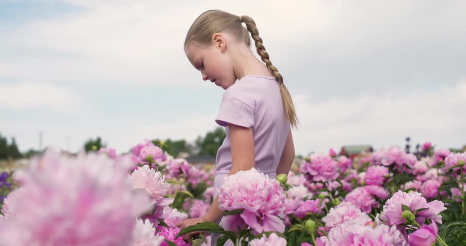 A young girl stands in a pink flower garden on a farm on a cloudy day