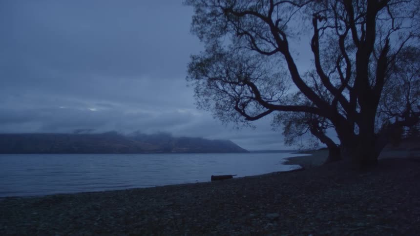 A serene lakeside view at dusk with a silhouette of a large tree in the foreground