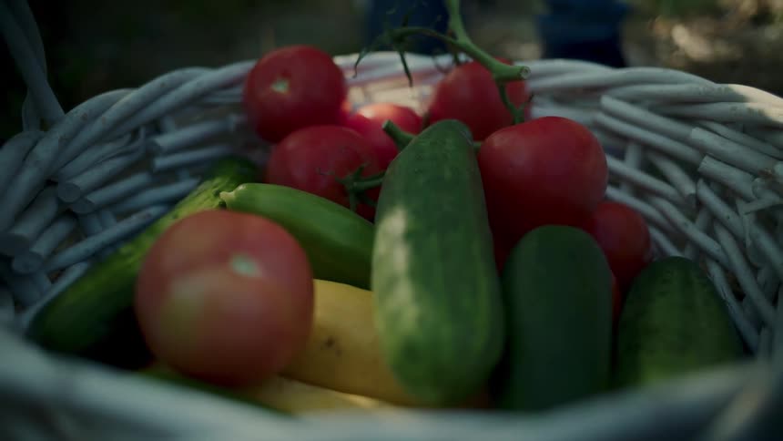 Hand putting vegetables into a white basket