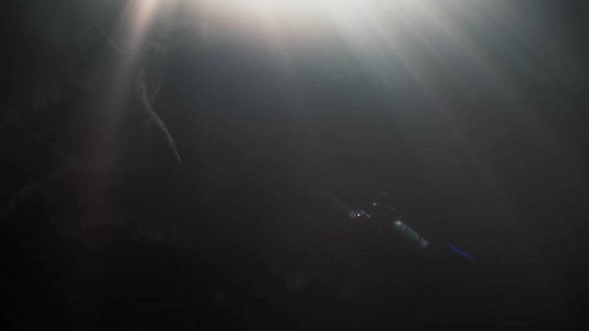 Sunlight shines into the dark underwater cavern where a scuba diver examines a submerged tree