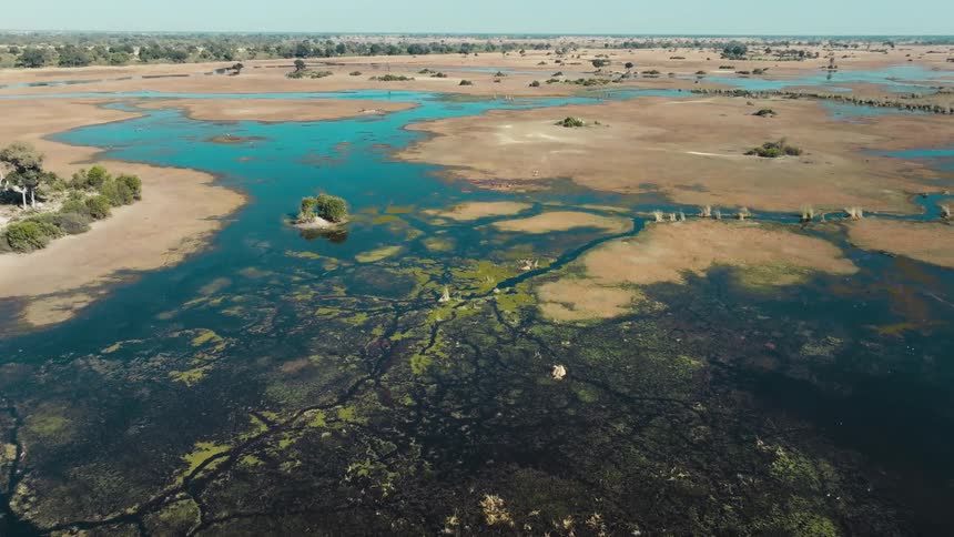 The landscape is covered with wet marsh