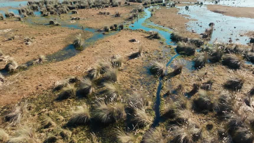 Aerial view of a jungle with winding rivers