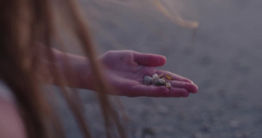 Shells and in the hand of a child