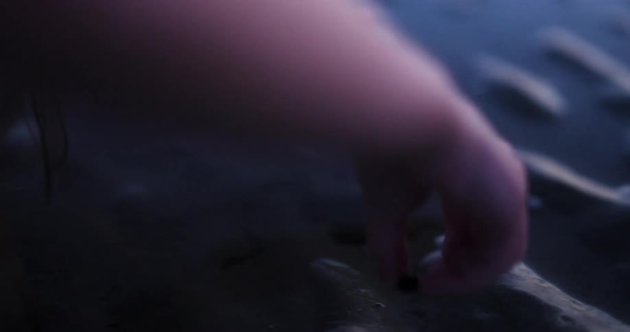 Girl with long wet hair puts a small hermit crab down on the wet sand of the beach