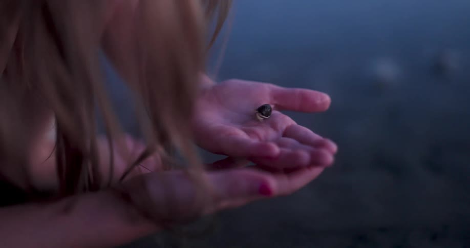 A young girl holds a small crab in her hands until it falls to the sand below
