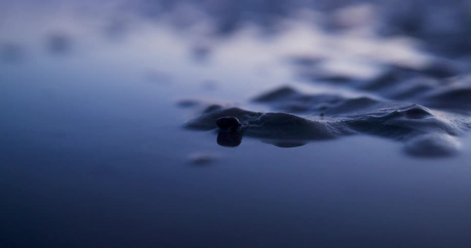Small baby crab on wet sand with beach water