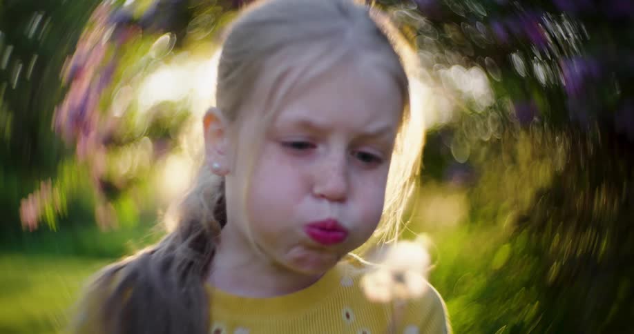 A little blonde girl is holding a dandelion plant
