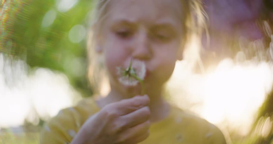 A girl blows the flower apart