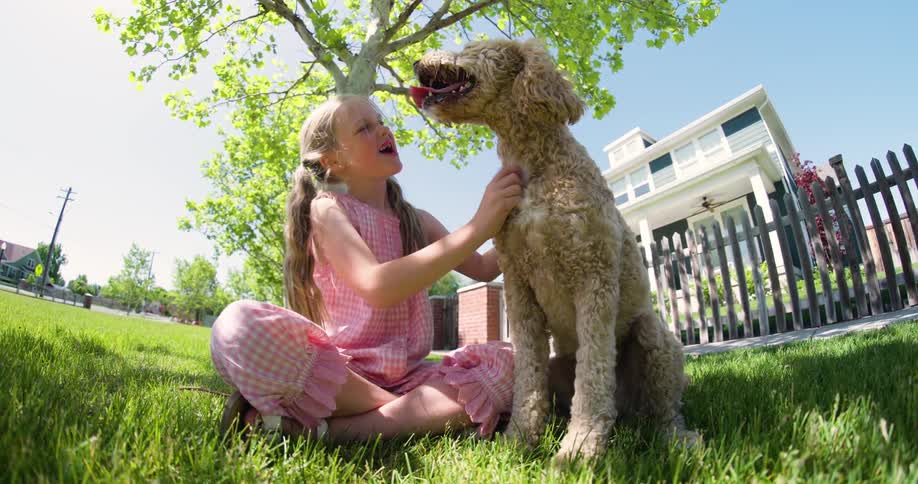 Little girl sitting on the grass and petting a dog next to her