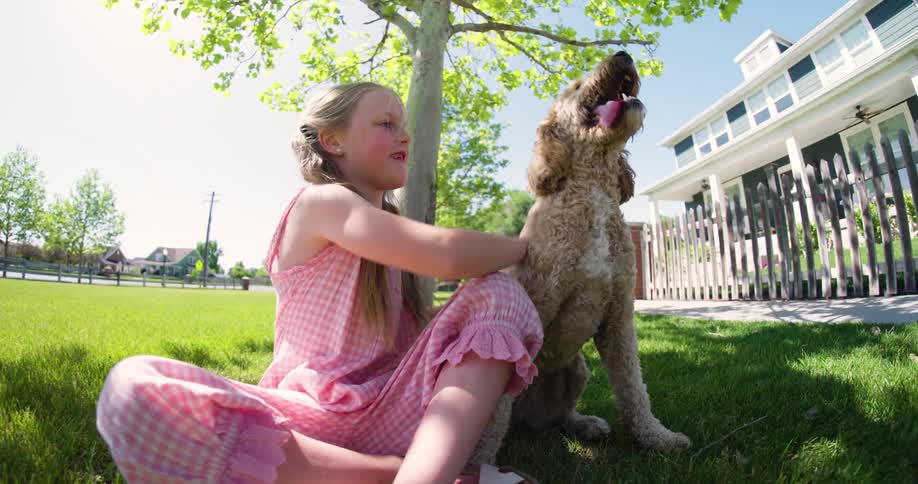 Girl petting a dog on the grass