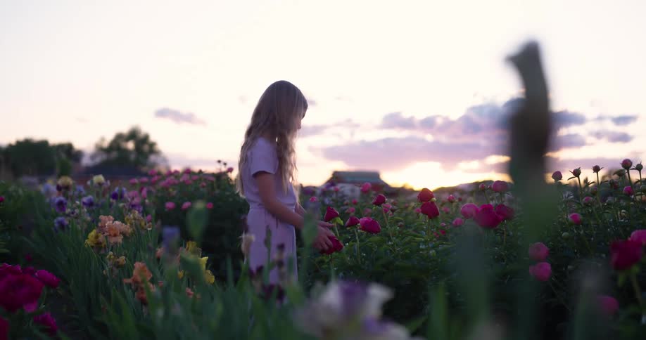 A young girl walks through a field of flowers stopping to feel a rose
