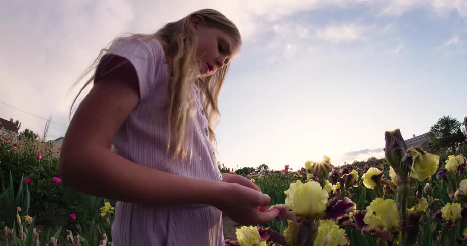 Girl looking at flowers in a garden
