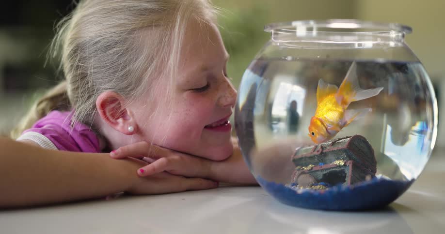 Little blonde girl having fun looking at a fish tank with a goldfish inside