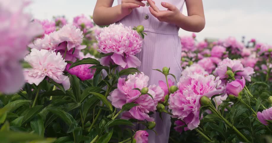 Young girl standing in the flower garden on a cloudy day touches the flowers