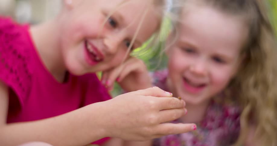 Two little girls observing a ladybug on their hand and laugh