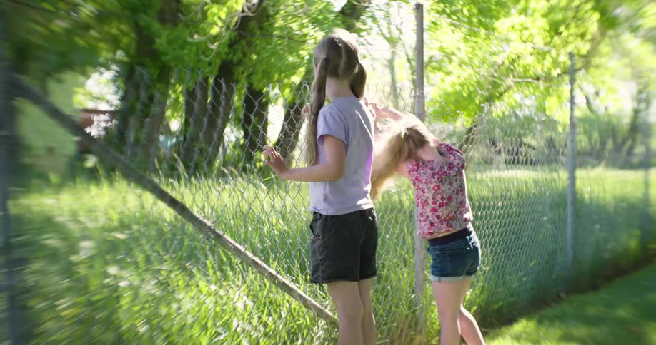 Two blonde girls watching farm animals while leaning against the fence