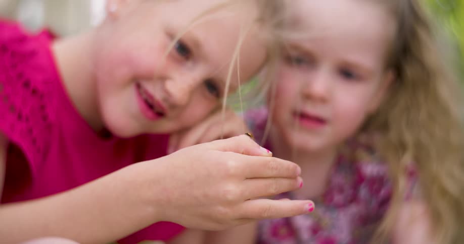 Two young girls watch a ladybug crawl on the older sister's hand